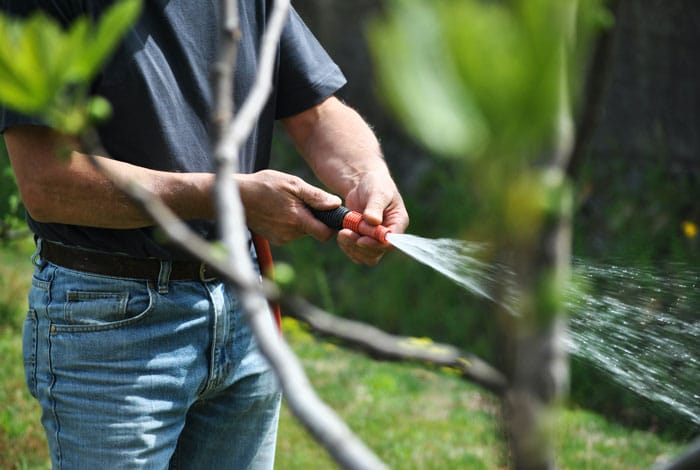 Man holding a garden hose that is spraying water