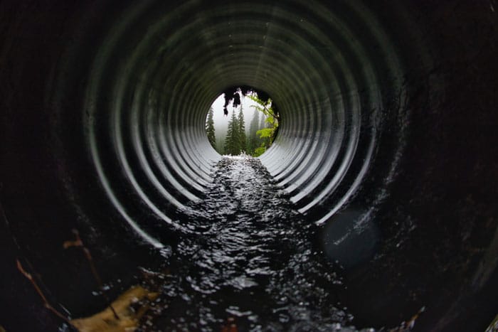 Looking through the water drain towards some evergreen trees