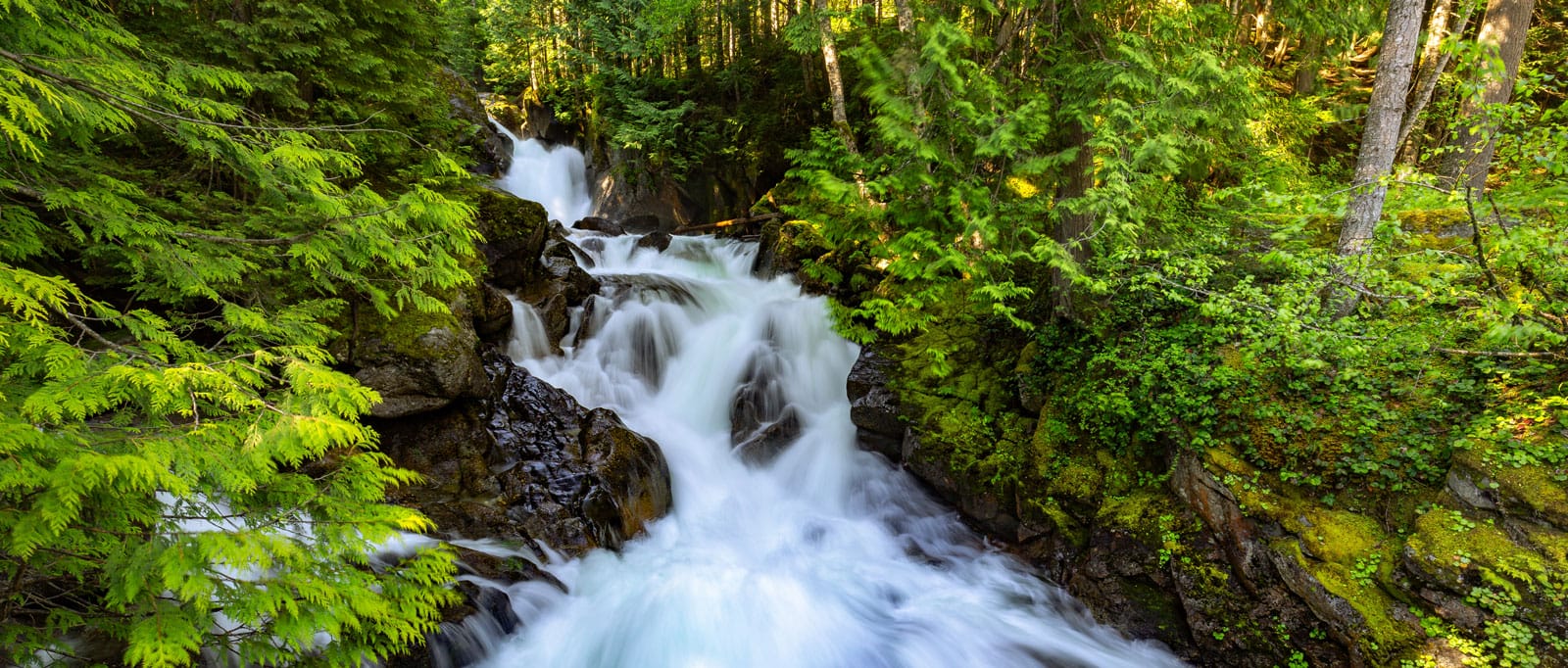 Customers Northshore Utility District