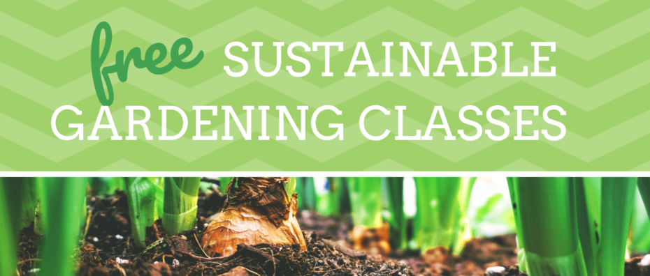 Free sustainable gardening classes